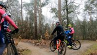 Tornado_Gruppe_im Wald 2